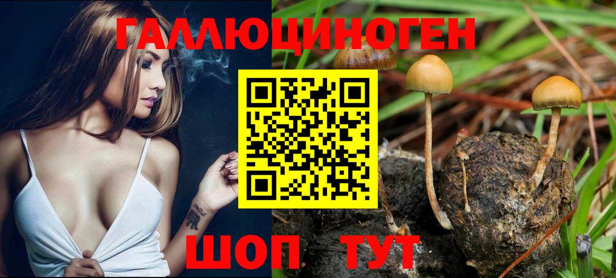 Псилоцибиновые грибы Magic Shrooms  дарнет шоп  Октябрьский  Вход с VPN 